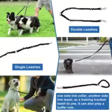Dual Dog Leash Coupler โ No-Tangle Reflective Bungee Lead