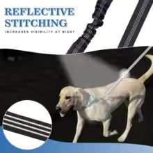Dual Dog Leash Coupler โ No-Tangle Reflective Bungee Lead